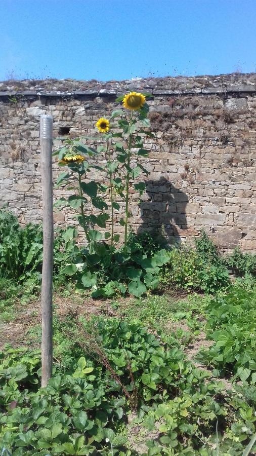 Kerbave Braz Villa Plouzélambre Dış mekan fotoğraf